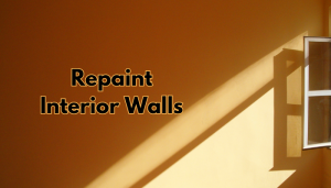 How Often Should You Repaint Interior Walls?